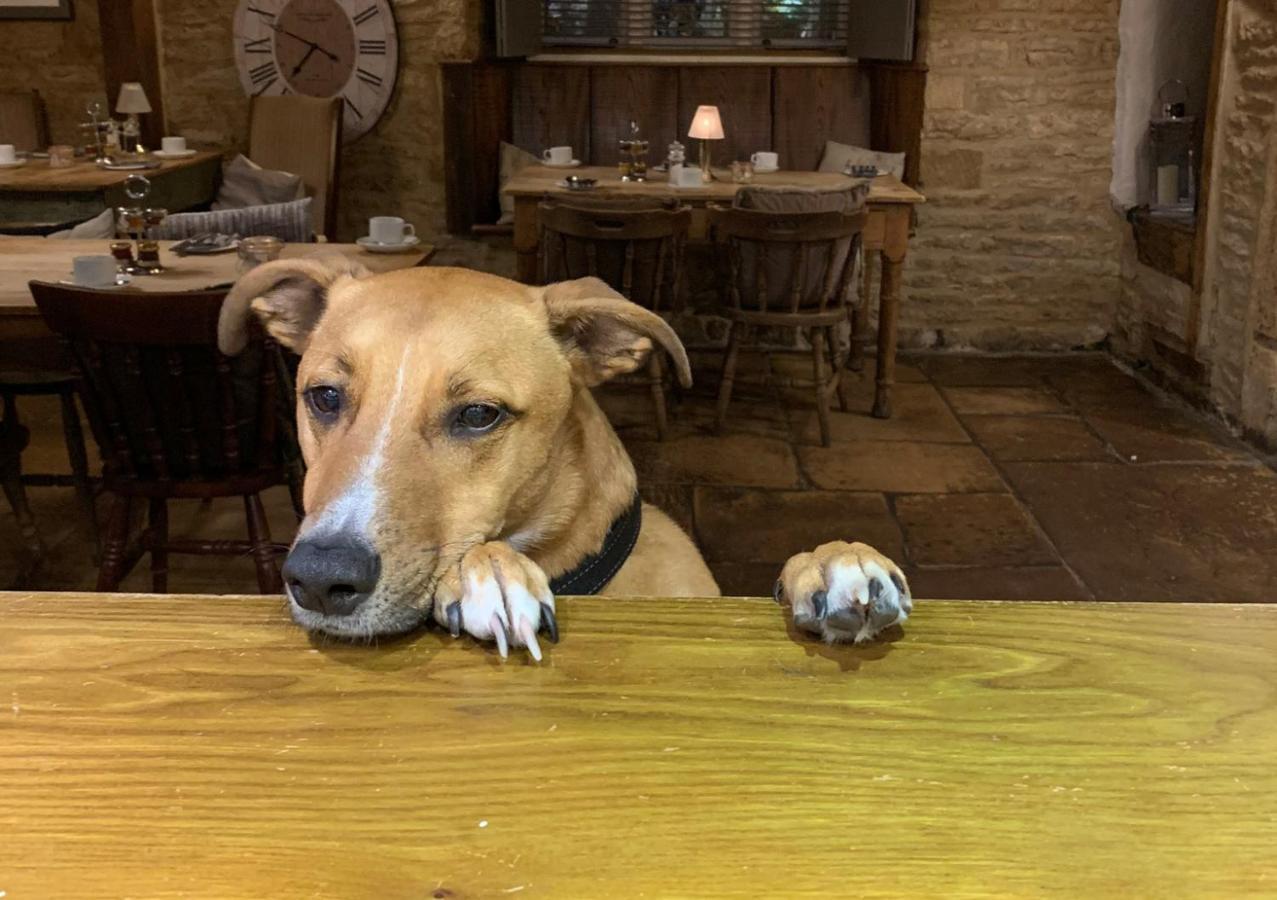 Stow-on-the-Wold The Horse & Groom المظهر الخارجي الصورة